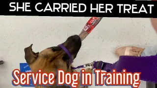 Kids won’t leave my service dog alone