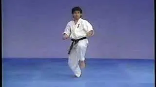 Karate kyokushin sokugi taikyoku ichi,ni and san