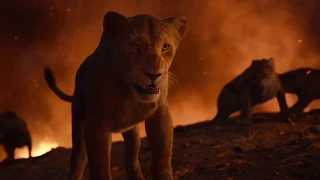 Nala VS Shenzi