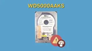 Восстановление данных с WD