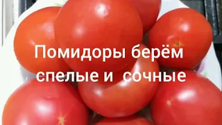 Яичница с помидорами по Азербайджански