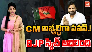 BJP Best Offer To Janasenani Pawan Kalyan | BJP Janasena Alliance | NDA Public Meeting | YOYO TV