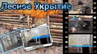 Землянка в лесу. Установил печку . Сделал двери. Готовим рыбу на костру Bushkraft в лесу. выживание