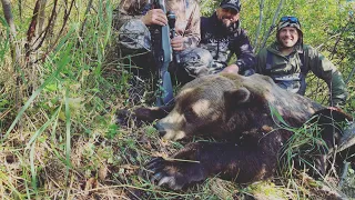 Fall Alaskan Brown Bear Hunt!