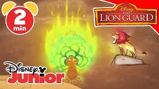 The Lion Guard | Music Compilation #3 - Disney Junior Italia