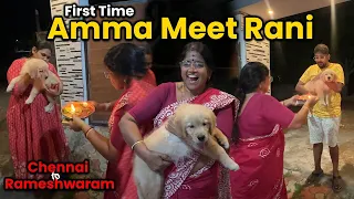 FINALLY Amma Met Rani 😭Dog Vomited | 500Km Car Drive | Mom Cried💔Tata Harrier🔥Tamil Vlog -Tuberbasss