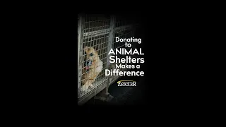 Donating to Animal Shelters Makes A Difference #shorts