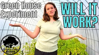 We built a DIY cattle panel green house | Experimenting with our winter garden