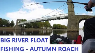 BIG RIVER ROACH - STICK FLOAT - 100th FILM - RIVER SPECIAL - FREE ROACH FISHING - RIVER TRENT