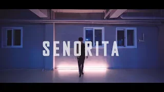 [playdance] Shawn Mendes, Camila Cabello - Senorita SNAE choreography