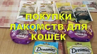 ПОКУПКИ ЛАКОМСТВ ДЛЯ КОШЕК