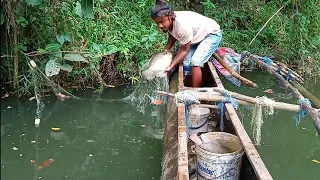 wow!!!!!! SRI Lankan 🇱🇰fishing|river fishing 🐟🐟 video (thappili fish,korali fish)