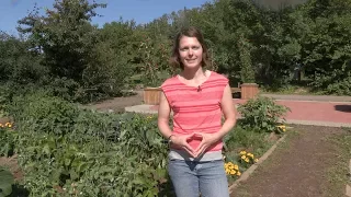 What Grows Where You Live in Alaska? – In the Alaska Garden with Heidi Rader