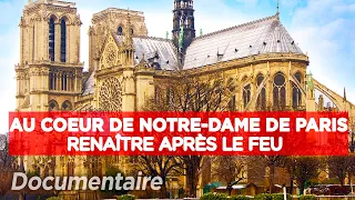 Au coeur de la cathédrale de Notre Dame de Paris : Renaîre après le feu - Documentaire complet