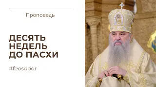 Притча о мытаре и фарисее. Проповедь митрополита Санкт-Петербургского и Ладожского Варсонофия