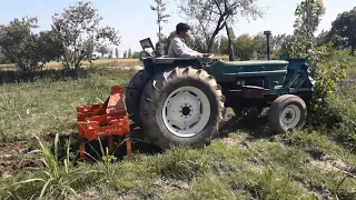 NH FIAT 640 Tractor Performance on Rajar in Sugarcane Field | Powerful Tractors