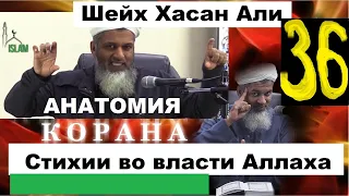 Стихии во власти Аллаха. Хасан Али