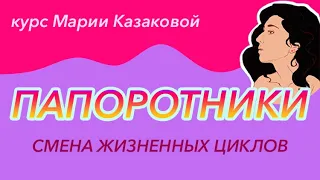 Урок "Смена жизненных циклов. Папоротники" — ЦТ, ЕГЭ, ЗНО