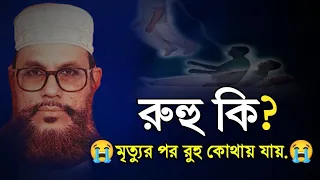 রুহু কি.? | @MadinaSeries দেলোয়ার হোসেন সাউদী bangla waz Delwar Hussain Saidi