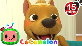 Where Has My Little Dog Gone? 15 MIN LOOP  - CoComelon