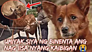 LUMUHA talaga yung ASO nung binenta yung kaibigan nya | NAKAKAIYAK to grabe 😭