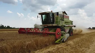 Árpa aratás 2023 CLAAS MEGA 208 + CLAAS C600 vágóasztal 2.rész