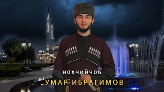 Хаза Нохчийн Илли! Умар Ибрагимов  - Нохчийчоь