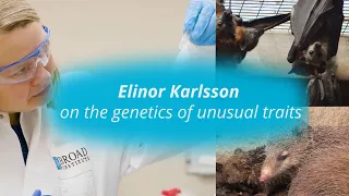 Elinor Karlsson on the genetics of unusual traits