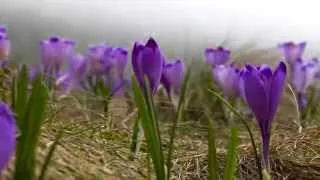 Timelapse 4 seasons in Tatra Mountains ( 4 pory roku w Tatrach)