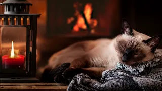 Crackling Fireplace with Cat Purring Sounds🔥 Cat Sleep Video 4K. Sleeping Cat by Fireplace Noises 4k