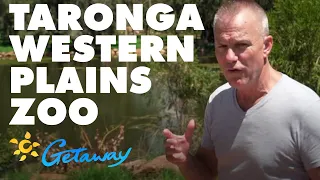 Taronga Western Plains Zoo | Getaway 2021 | Best Aussie Holidays