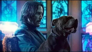 16 Curiosidades de John Wick que quizás no conocías