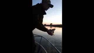 Одеський рибоохоронний патруль вилучив 500 метрів браконьєрських сіток на озері Сасик