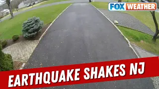 'Felt Like The Ground Was Sinking In': NJ Resident Describes Earthquake While Out Walking Dog