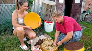 VILLAGE LIFE in UKRAINE I Harvesting Honey 2022