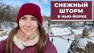 Снежный шторм в Нью-Йорке / Прогулка по Таймс-Сквер и Центральному парку / Снегопад в Нью-Йорке