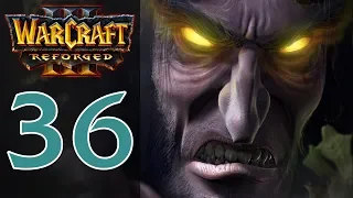 Прохождение Warcraft 3: Reforged #36 - Глава 6: Скорбь и пламя [Ночные эльфы - Конец вечности]