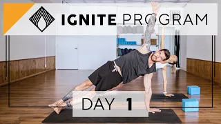 Well Rounded 45 Minute Vinyasa Yoga | Day 1 IGNITE 28 Day Yoga Program