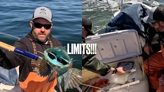 Wide open rockfish and lingcod opener 2024 limits!!! and a new favorite  Jig! and boarded by F&G!