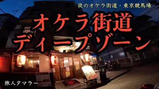 夜のオケラ街道・東京競馬場【GoPro11旅人タマラーの街歩き】ディープゾーン突入