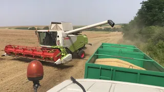 Жнива 2021 розпочато!!! #жнива #claas