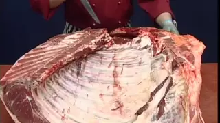 Beef Forequarter Carcase Breakdown