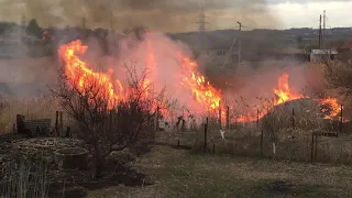 жизнь вне орхидей 23. СУРОВЫЕ СОСЕДИ ПОДЖИГАЮТ РЕКУ