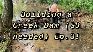 Building a Creek Dam $0 Needed! Ep.3