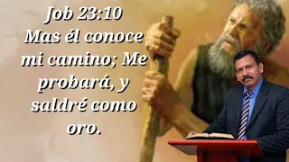 Job 23:10 Mas él conoce mi camino; Me probará, y saldré como oro.