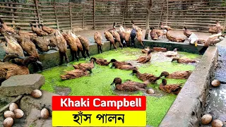 শিক্ষকতার যোগ্যতাতেও হাঁস পালন | khaki Campbell ducks | duck farming | শীতে হাঁস খামার