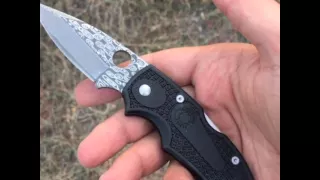 Spyderco Native