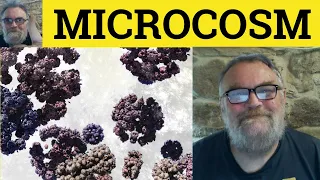 🔵 Microcosm Meaning - Microcosm Examples - Macrocosm Defined -Vocabulary - Microcosm