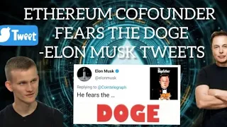 Vitalik Buterin Eth V/s Elon Musk doge || Daily Crypto News || Subscribe for more crypto news daily