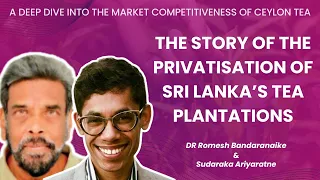 The Story of the Privatisation of Sri Lanka’s Tea Plantations